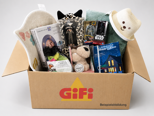 *NEU* GiFi Restposten Paket Kiste Neuware | 25, 50 oder 100 Artikel | Warenmix |